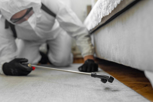 Professional Bed Bug Control technician working in Taylorsville, NC