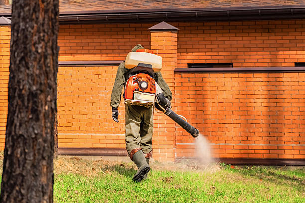Trusted Ant Control service in Taylorsville, NC - Nex Pest Control